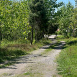 زمین روستایی در روستای شهرستان بش سنگر