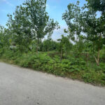 زمین روستایی سنگر سوکاچا