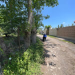800m-orchard-sarvandan-666 (3)