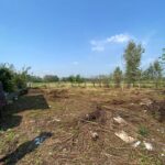 زمین 600 متری در ویشکاننک سنگر
