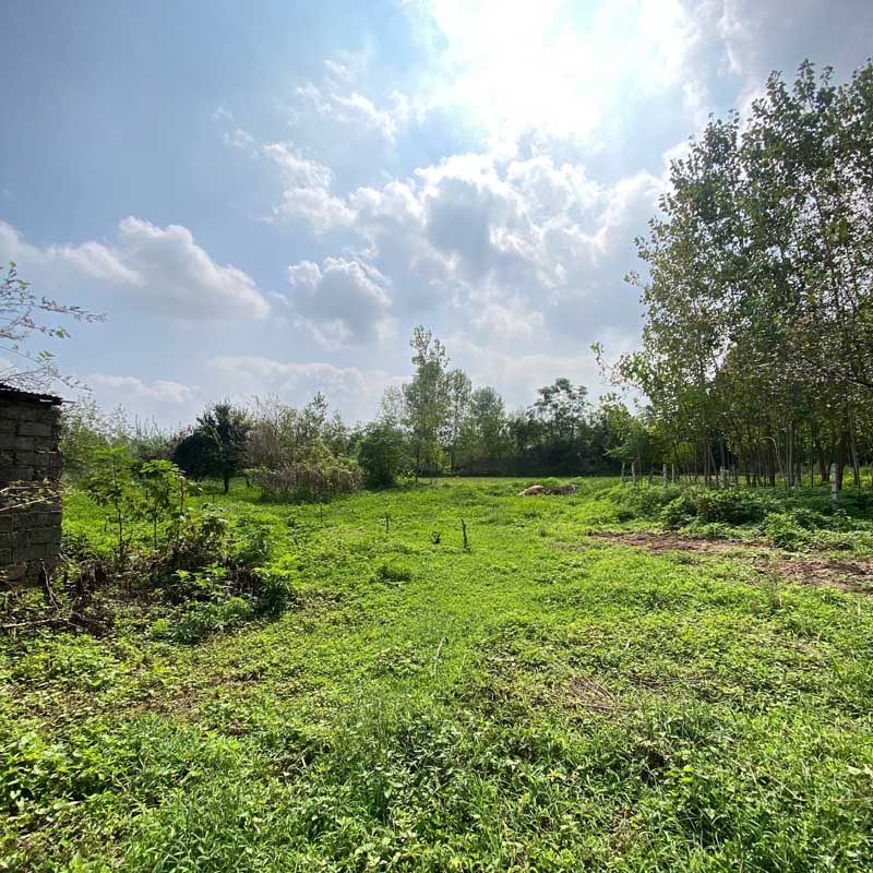 زمین روستایی 257 متری در سنگر